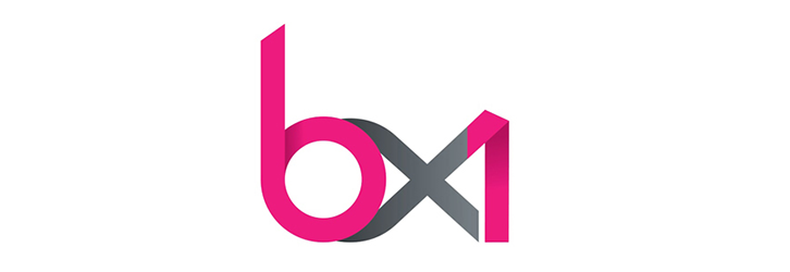 bx1